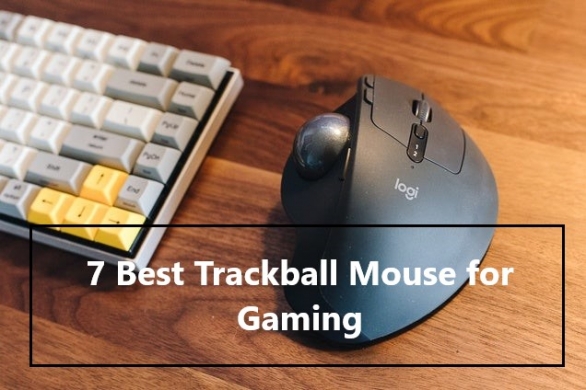 Best Trackball Mouse for Gaming - TwiPla